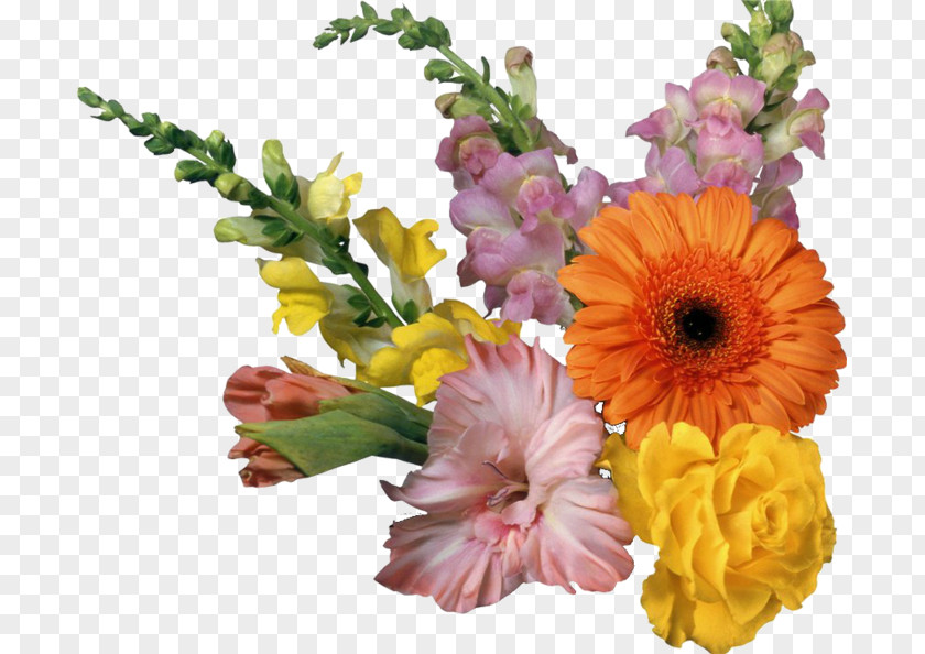 Flower Border Flowers Desktop Wallpaper Clip Art PNG