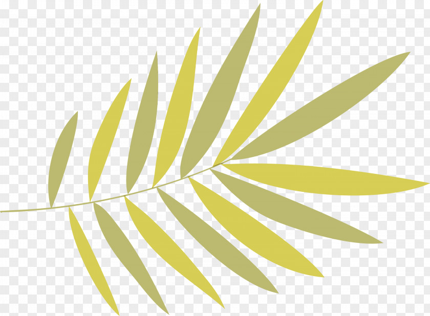 Leaf Plant Stem Grasses Yellow Font PNG