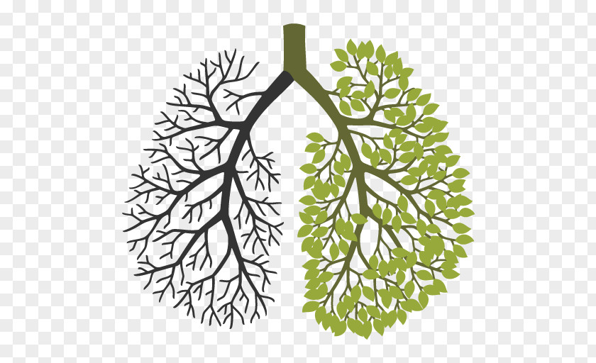 Leaf Your Lungs Respiratory System Tree PNG
