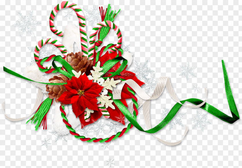 Plant Christmas Eve And New Year Background PNG