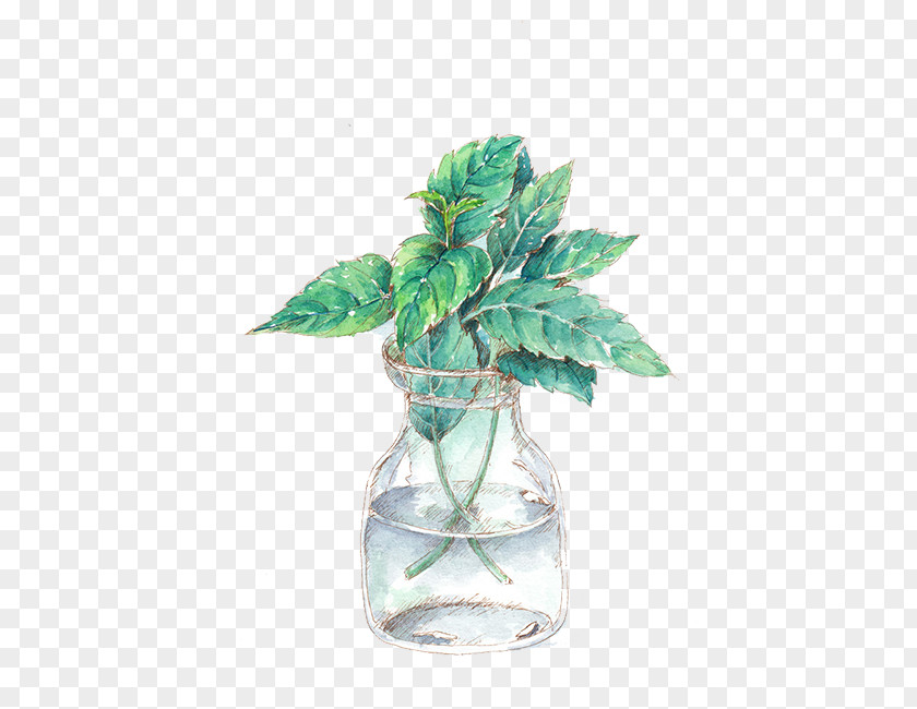 Water Bottle Leaves Oil Painting Watercolor PNG