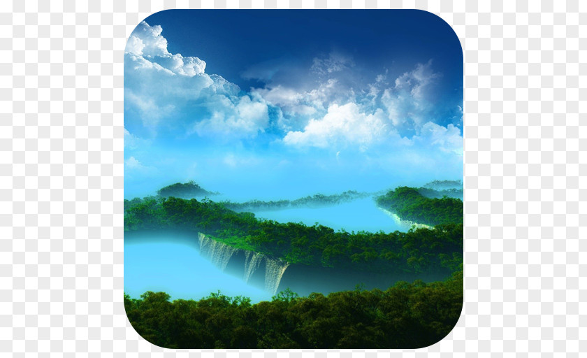 Amazon Forest Desktop Wallpaper Tree Display Resolution PNG