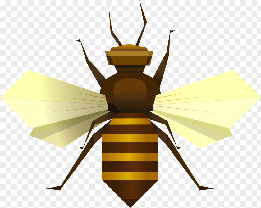 Bee Insect Apis Florea Clip Art PNG