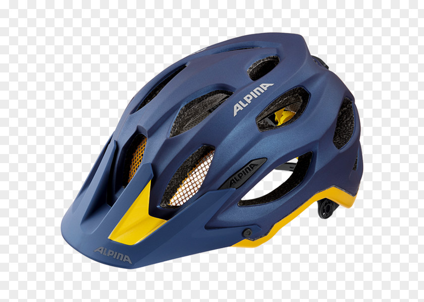 Bicycle Helmets Cycling Carapace PNG