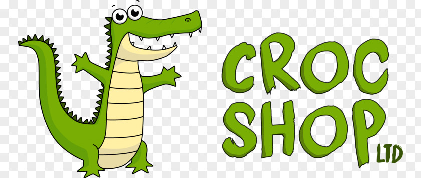 Crocodile Crocodiles Of The World Reptile Crocs Clip Art PNG