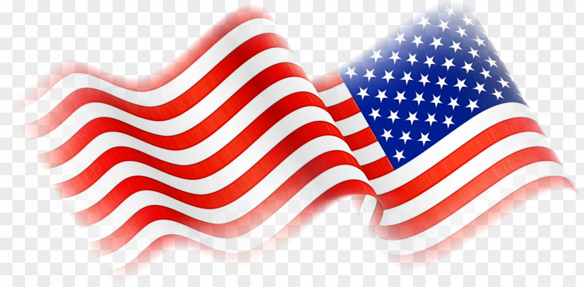Flag Of The United States Hair Loss Conditioner PNG