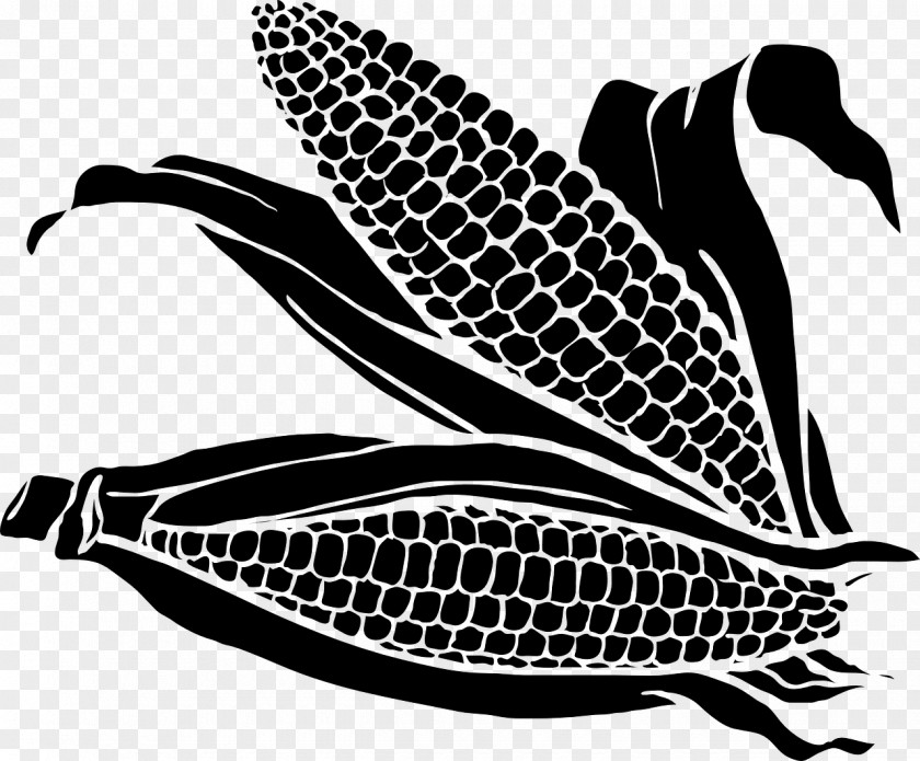 Corn On The Cob Field Sweet Candy PNG