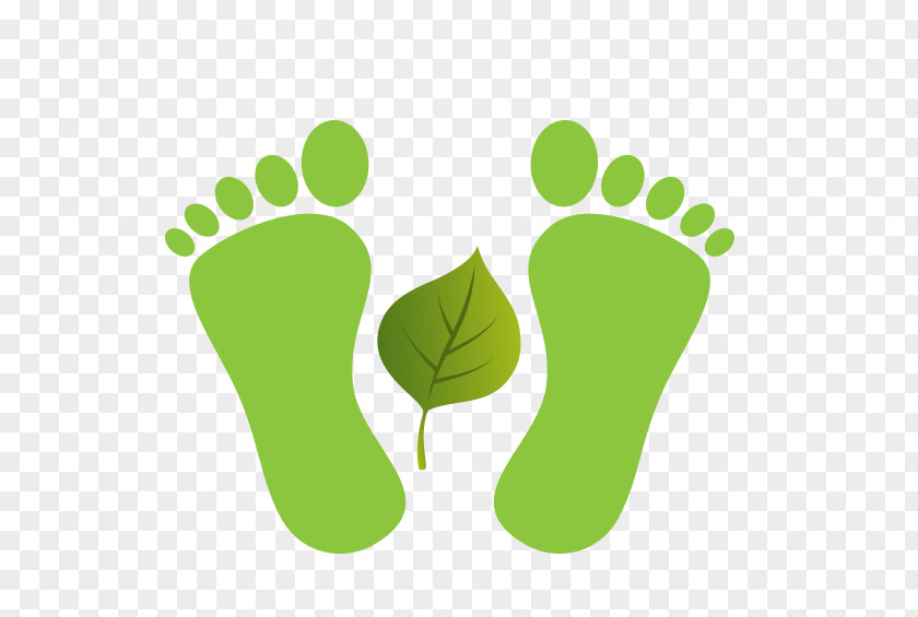 Green Foot Print Footprint Toe Clip Art PNG