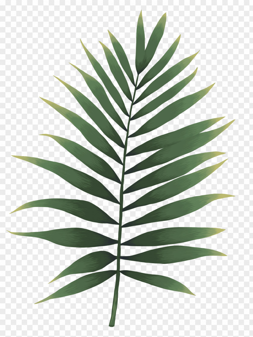 Leaf Watercolor Painting Fern Watercolor: Flowers Image PNG