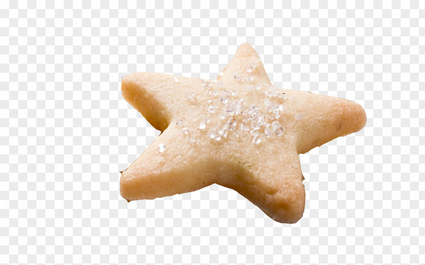 Pentagram Spicy Shrimp Cakes Cookie Starfish PNG