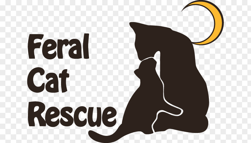 Pet Adoption Whiskers Black Cat Feral PNG