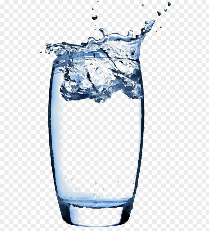 Plant Liquid Water Tumbler Drinking Drink Glass PNG