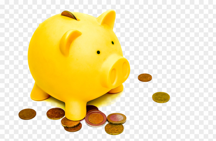 Saving Money Tax Pension Budget PNG