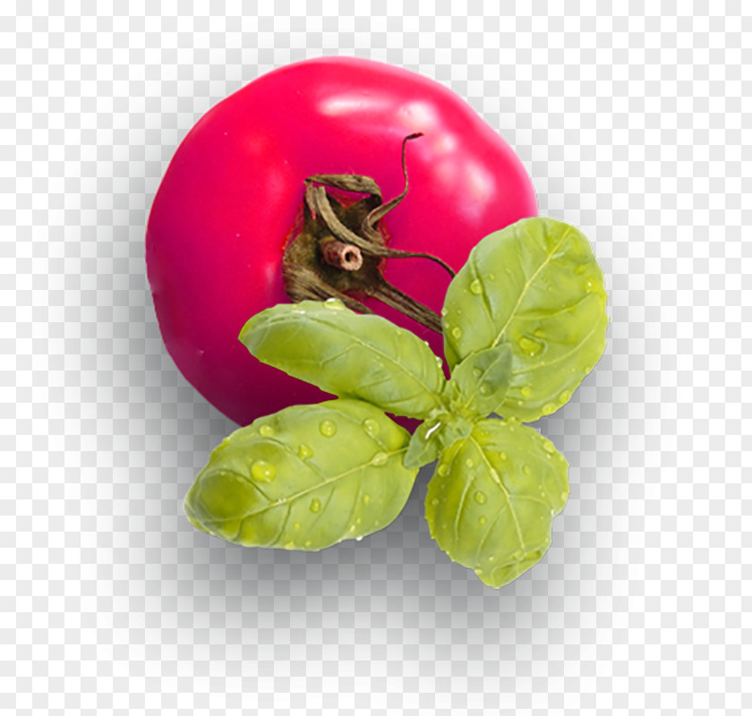 Tomato Green Leaves Juice Pizza Quattro Stagioni Diandra PNG