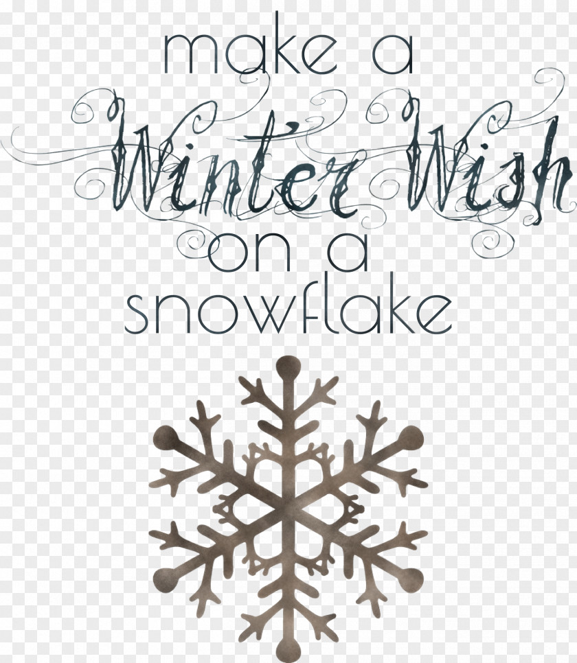 Winter Wish Snowflake PNG