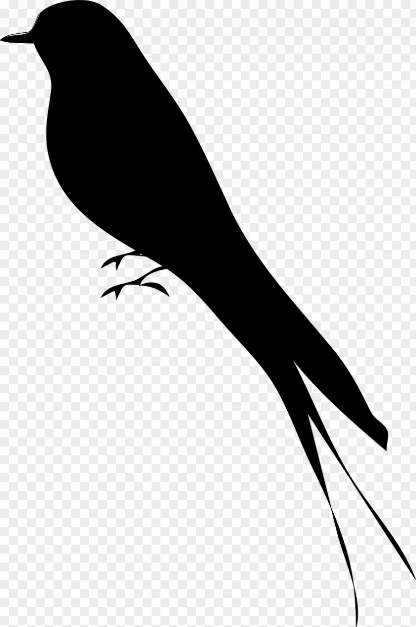 Bird Silhouette Drawing Clip Art PNG