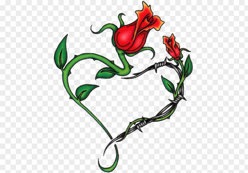 Heart Vine Drawing Clip Art PNG