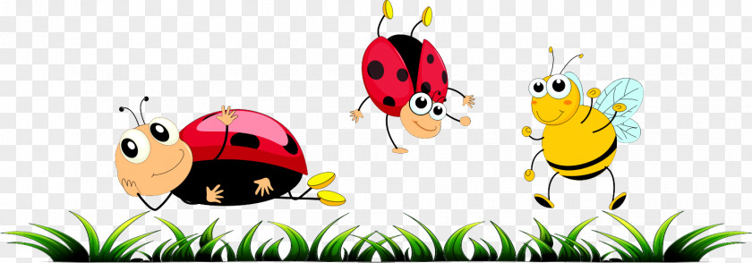 Ladybird Insect Computer Clip Art PNG