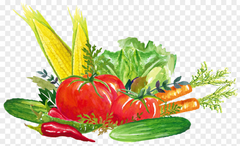 Tomato Organic Food Vegetarian Cuisine Leaf Vegetable PNG