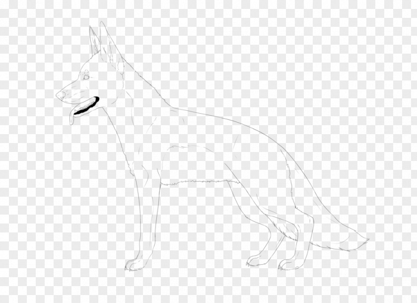 Dog Breed Line Art White Sketch PNG