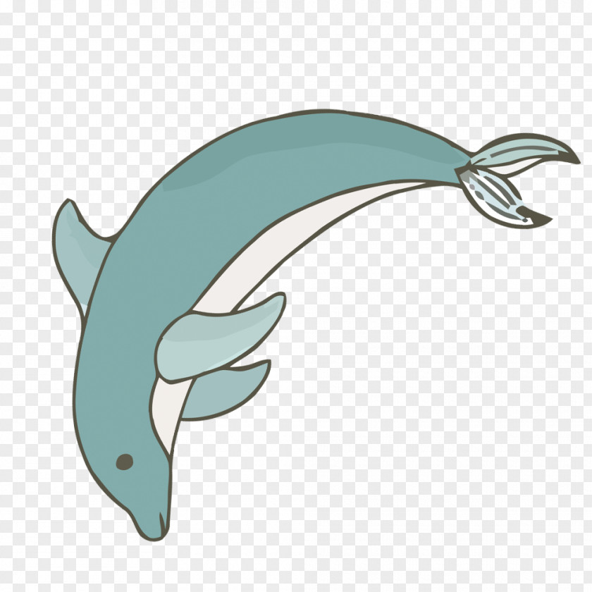 Dolphins Vector Material Dolphin Porpoise Euclidean PNG