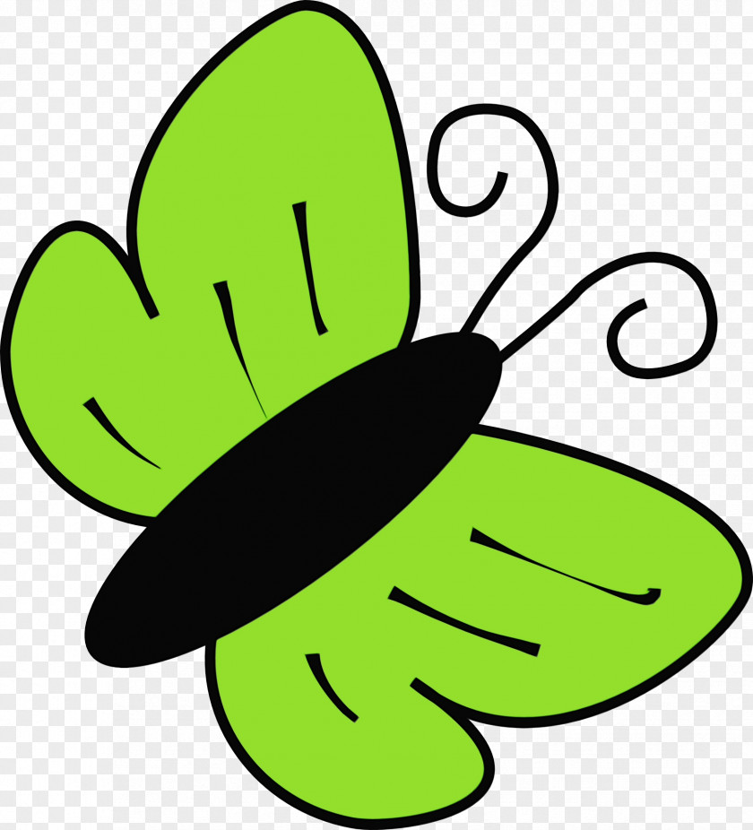 Plant Line Art Peacock Butterfly Insect Website Transparency PNG