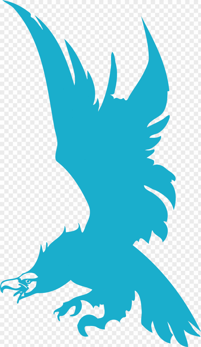Sky Blue Eagle Beak Line Art Graphic Design Clip PNG