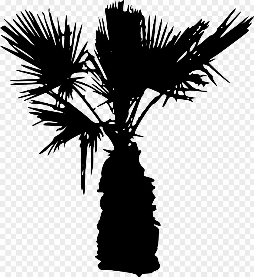 Street Art Arecaceae Tree Silhouette PNG