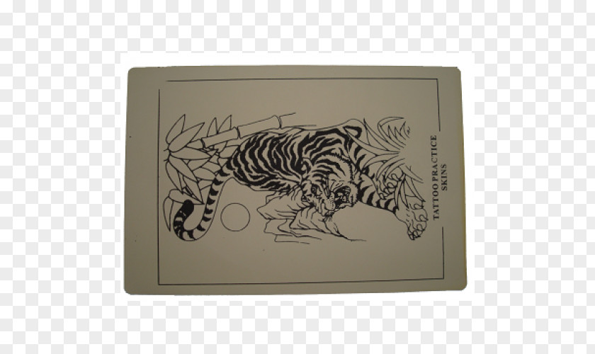 Tiger Big Cat Drawing Skin PNG