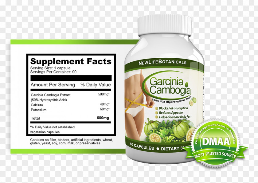 Fat Loss Garcinia Gummi-gutta Dietary Supplement Hydroxycitric Acid Weight Green Coffee Extract PNG