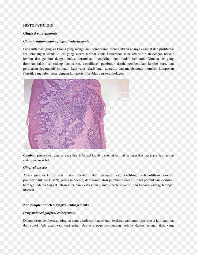 Gingival Bleeding Inflammation Proliferasi Exudate Histopathology Cell PNG