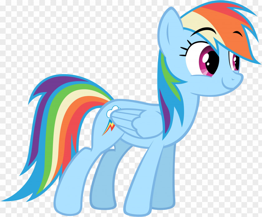 My Little Pony Ponyville Rainbow Dash May The Best Pet Win! PNG