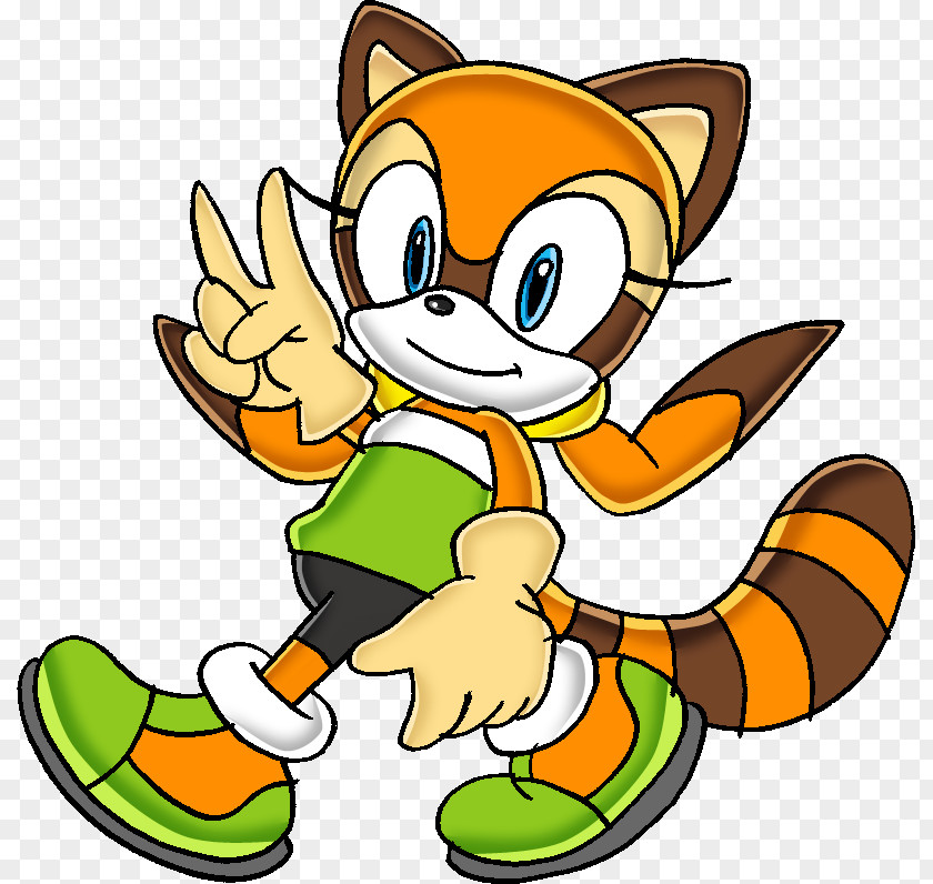 Raccoon Pic Sonic Rush Adventure Runners The Hedgehog Clip Art PNG