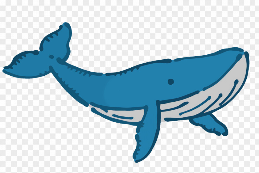 Shark PNG