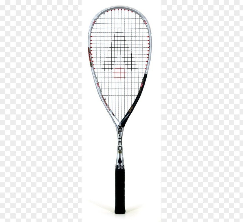 Tennis Racket Squash Head Tecnifibre PNG