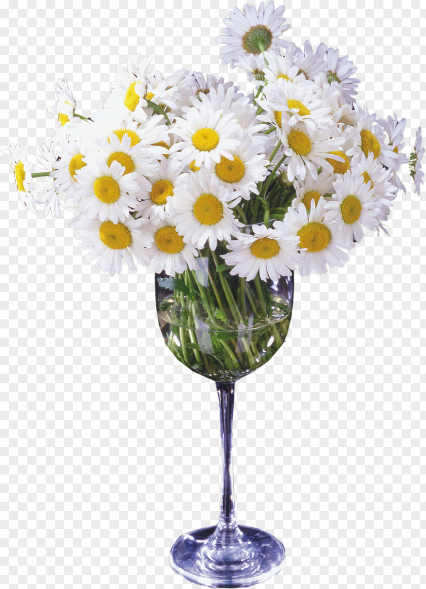 Camomile Cut Flowers Vase Flower Bouquet PNG