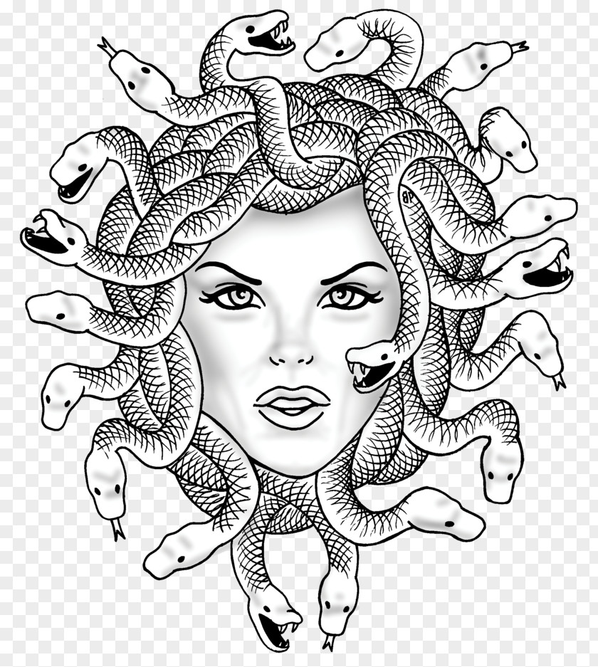 Lifetime Vector Medusa Gorgon Chthonic Coloring Book PNG
