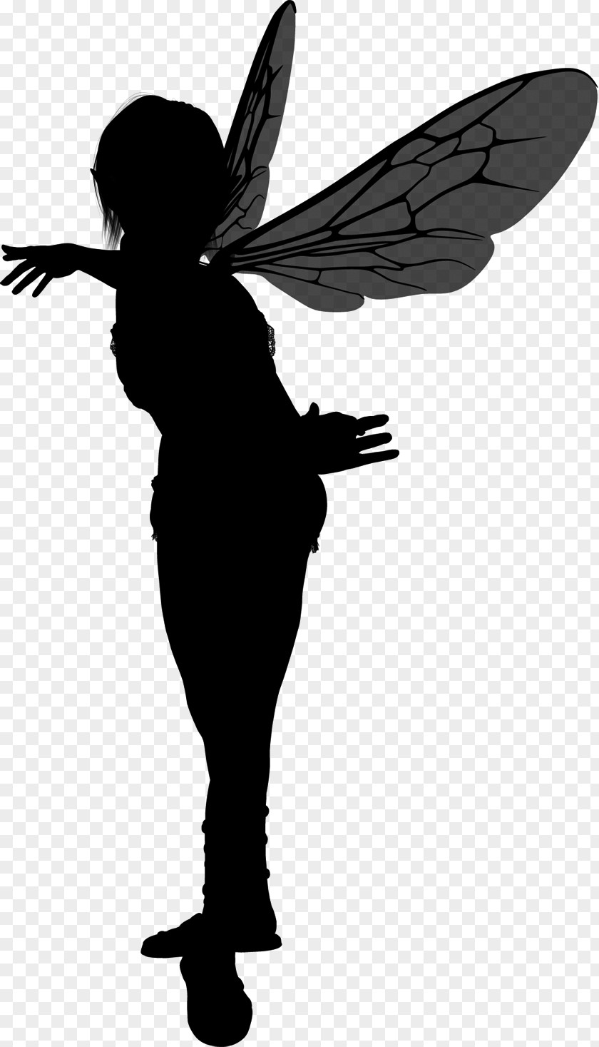 Silhouette Fairy Visual Arts Photography PNG