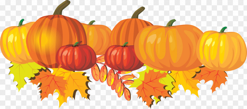 Autumn Clip Art PNG