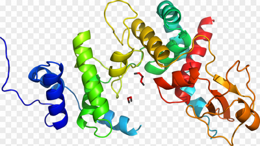 Calcium Chlorine Atom Diagram Clip Art Product Organism Line PNG