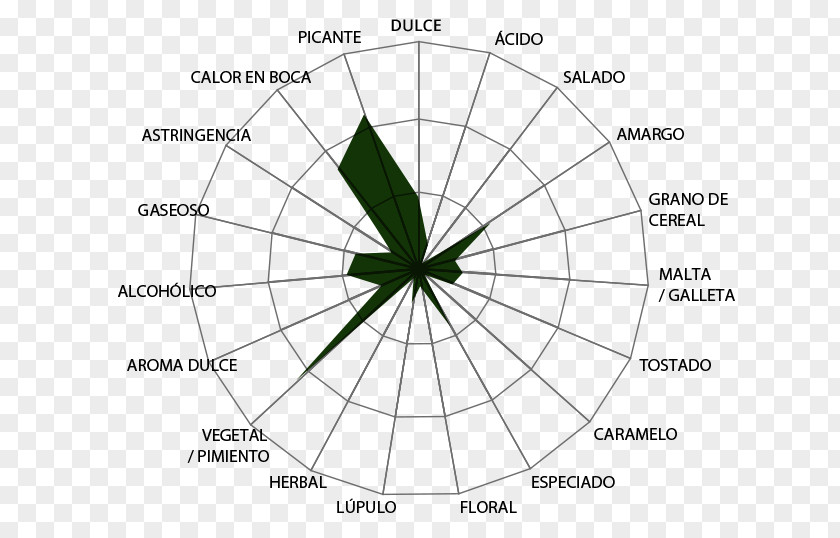 Circle Point Angle Leaf Diagram PNG