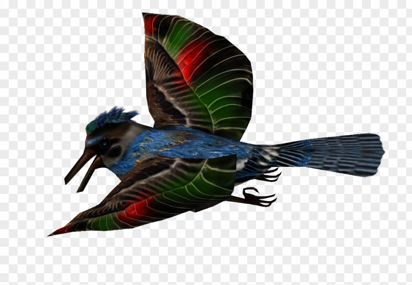 Feather Beak Fauna PNG