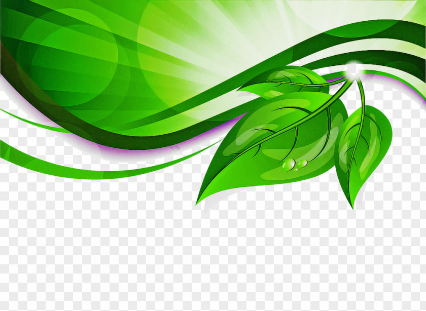Green Leaf Plant Line Logo PNG