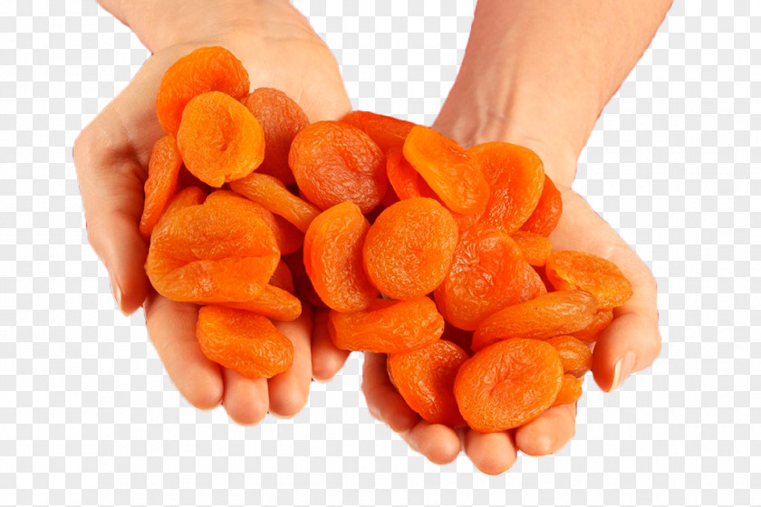 Holding Fruit Nut Dried Apricots Apricot PNG
