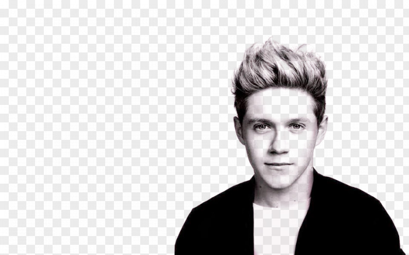 One Direction Niall Horan Where We Are Tour Made In The A.M. PNG