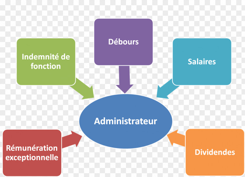 Remuneration Board Member Of Directors Organization Administrateur Salarié PNG