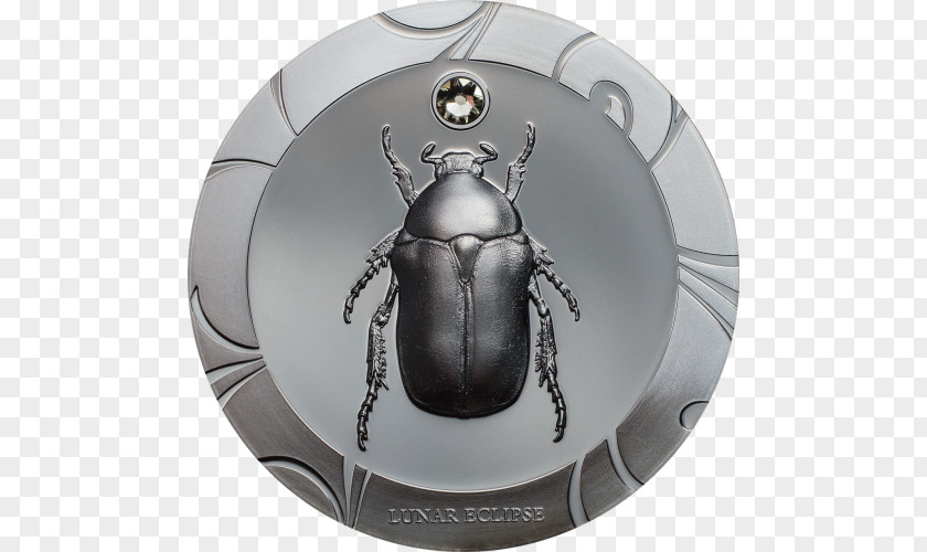 Silver Coin Scarab American Eagle PNG