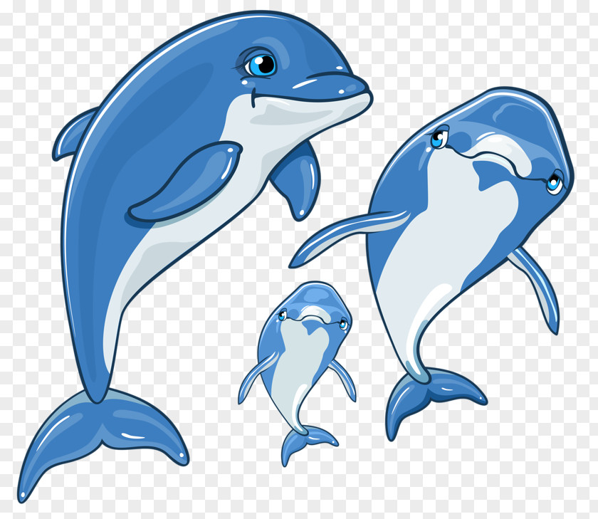 Stenella Roughtoothed Dolphin Cartoon PNG