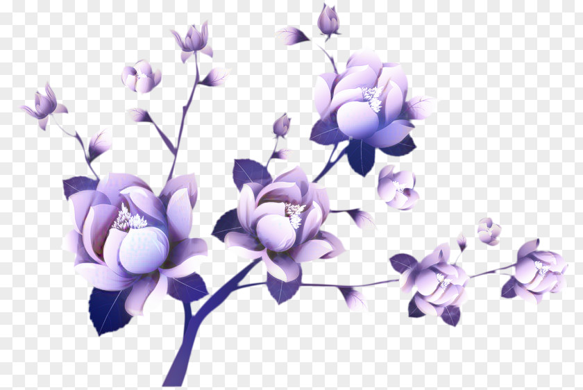 Wildflower Violet Family Flowers Background PNG