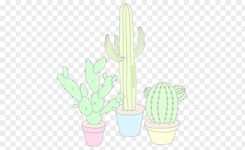 Cactus Cactaceae Paper Drawing Succulent Plant PNG